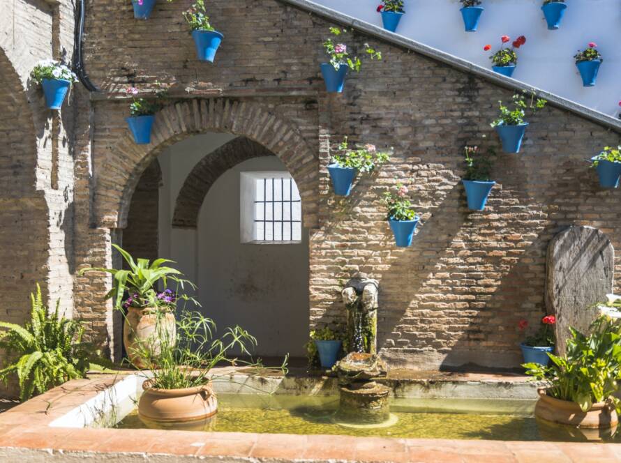 patio with flowers and plants